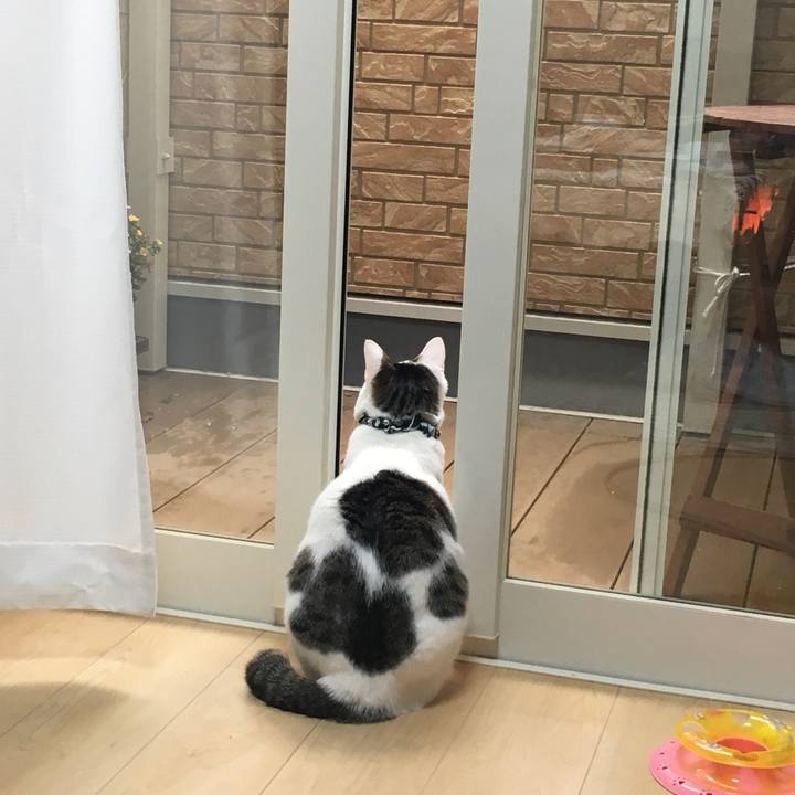 7991b7d7 6641 488f 8739 a2523251f2d9