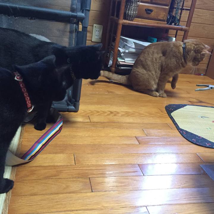 7991e4d7 7e2b 4084 b5f4 3b4b9e6c7dea