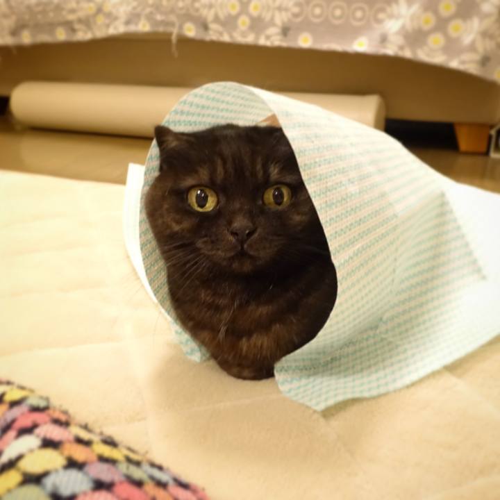 7993bf8c 52a9 428d a777 710ae6636884