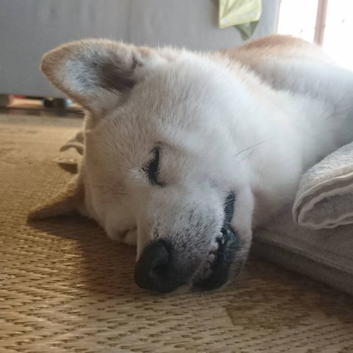 7993f1a5 5424 438f 92da d4176bf3a7ca