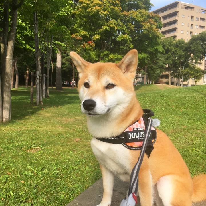 7994573a b867 4eb2 aa66 2cdea378f77c