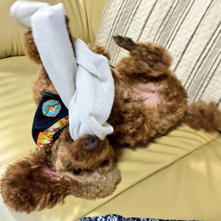 7994a285 dd05 4dc9 ab28 47232a379226