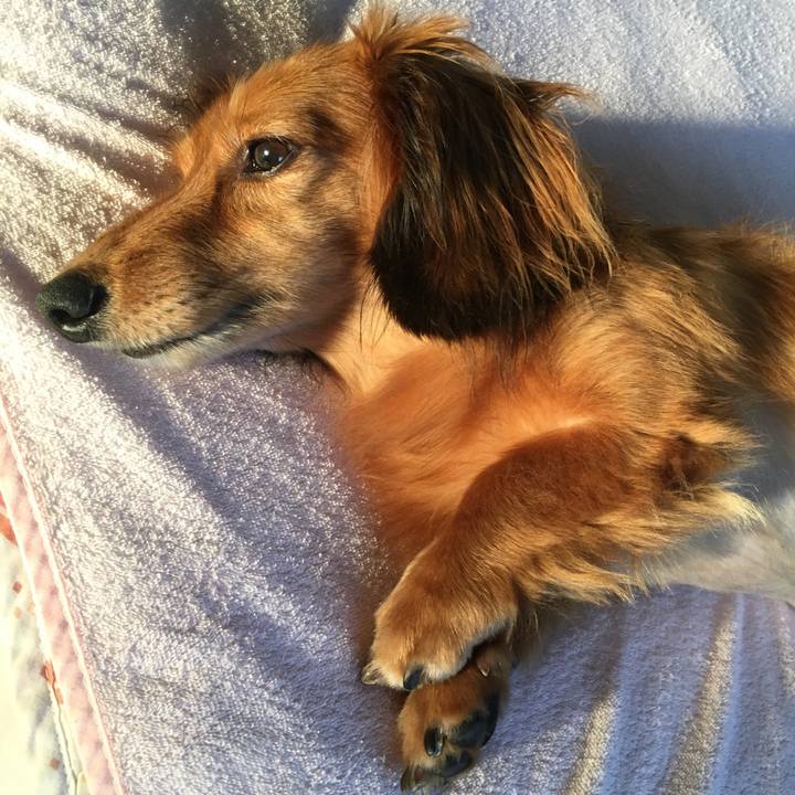 7994b789 a4cf 4740 a020 a2090c2a8a75