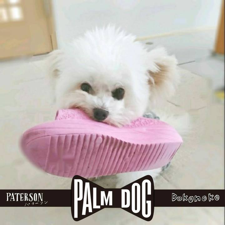 7995228d dd0d 4b89 a282 069e1e01d64c