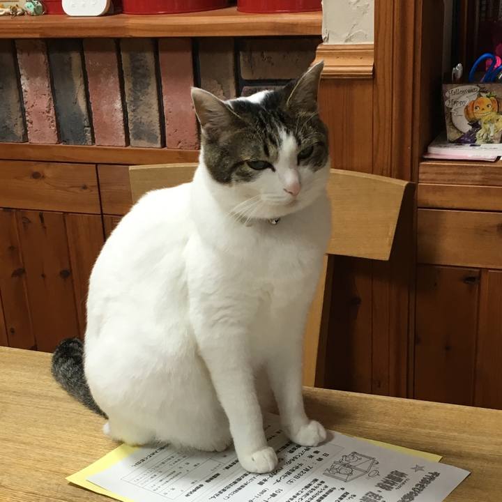 7995b278 86ba 40cc bf46 5f92a9214a6a