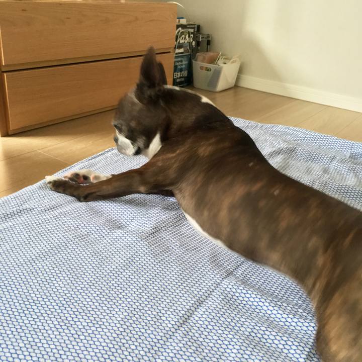 7995f1a9 a79b 4a84 8319 64197d2a2a4e