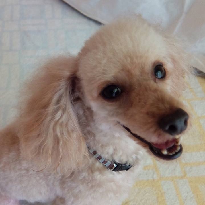 79965c45 3cd5 4dfa b0a3 34b4bbfce176