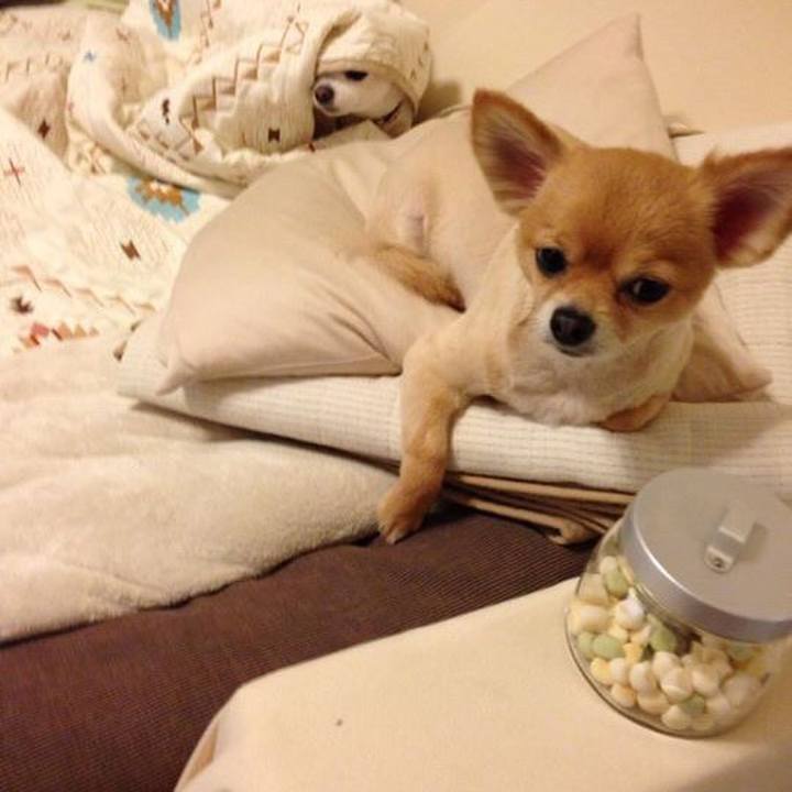 79966d67 54ed 44cb a383 ba7e19336f41