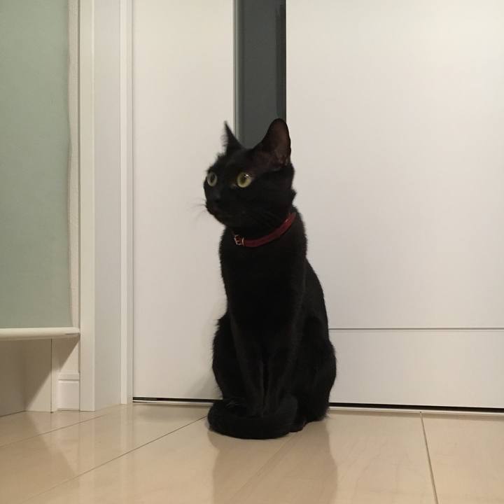 79972296 0109 4756 ab53 7f766d1a77af