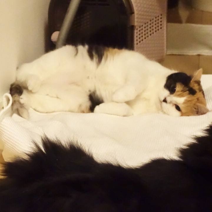 79972d31 3cb1 46be a5d5 ff8be27dcd10