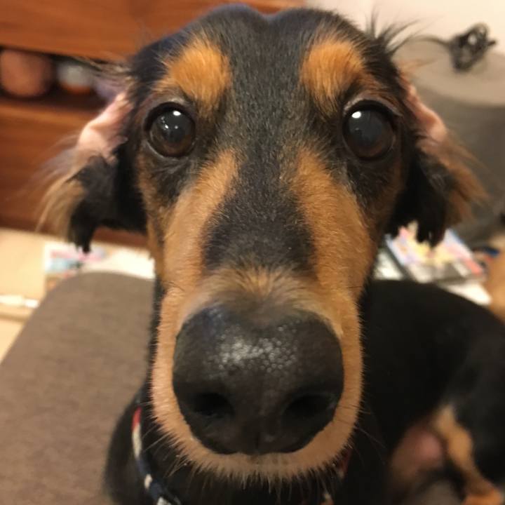 79973f8a 460d 499d a47b 50072f5cb576