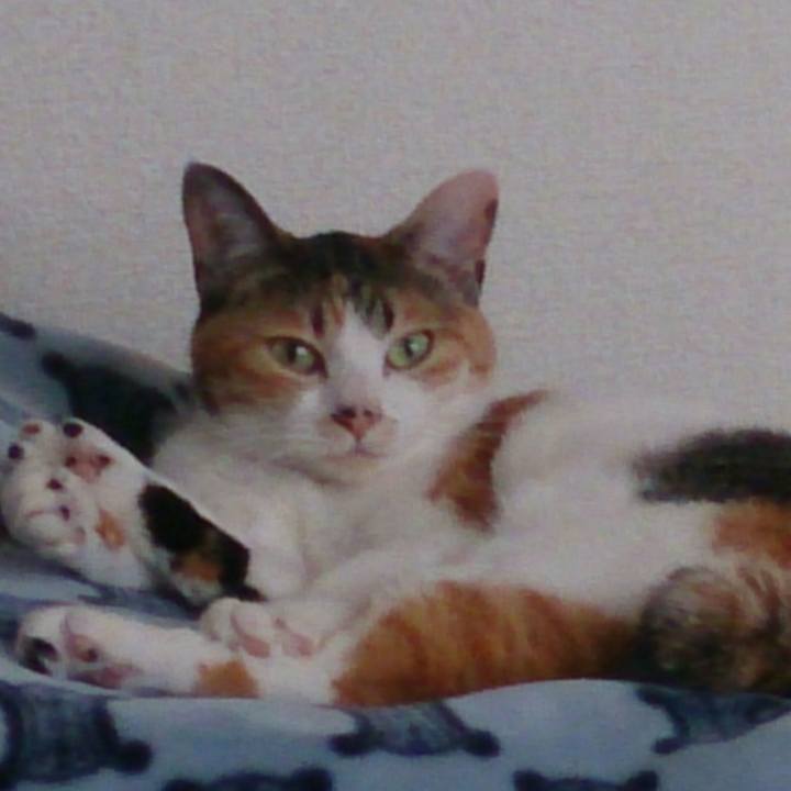 7997d493 f6f6 4fbc bee6 dd0a02c55822