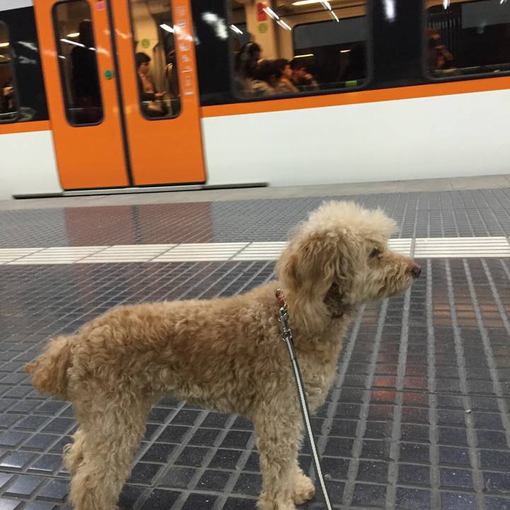 799869a9 6c7d 4a16 ae72 2f3e623bce69