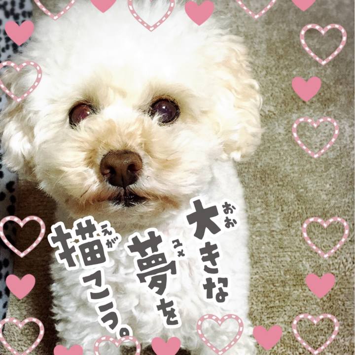 7998f9c6 e2b7 401c b988 b1105586c154