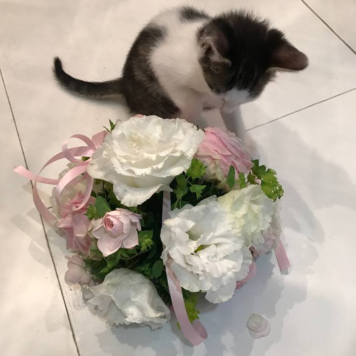 799952c5 da9d 46ec 87af 07e36f078217