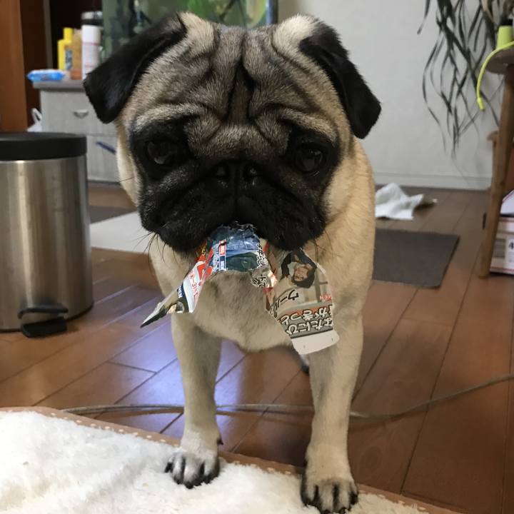 79997276 193a 4fd5 9305 275e6faaa45a