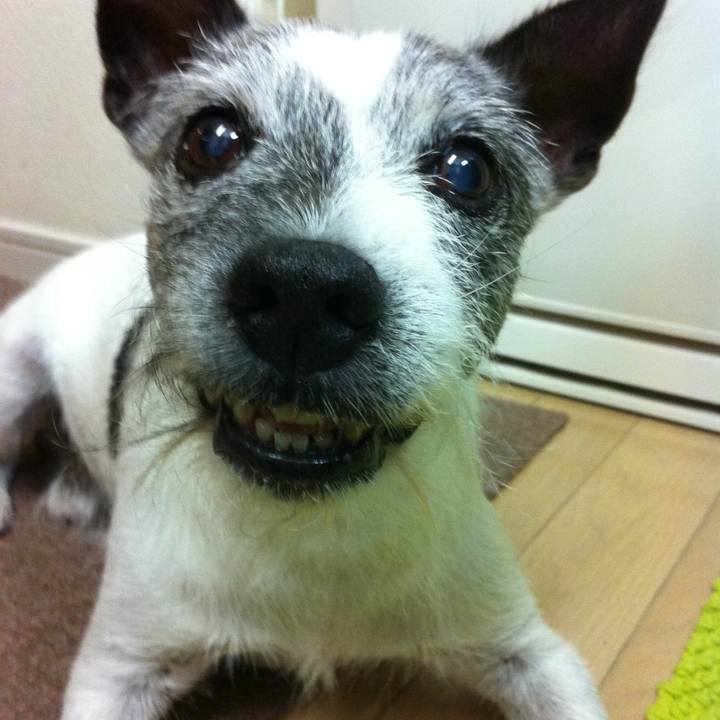 799a3468 0c70 4195 ba00 972e8151e051