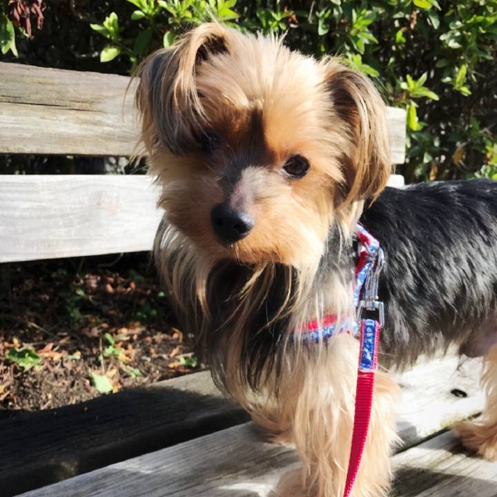 799a65aa 74f9 4980 8c15 79601e1fe54e