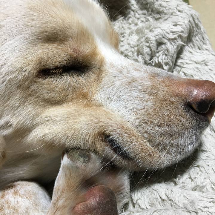 799b4e1d 3b37 41b3 aa89 a6a43341b383