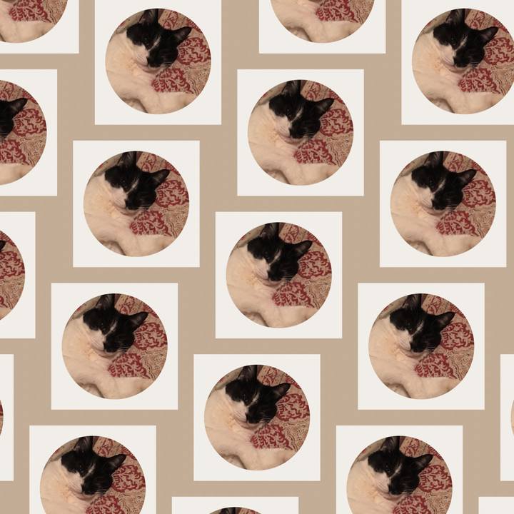 799be062 7631 41a1 b8c2 cbec6983554f