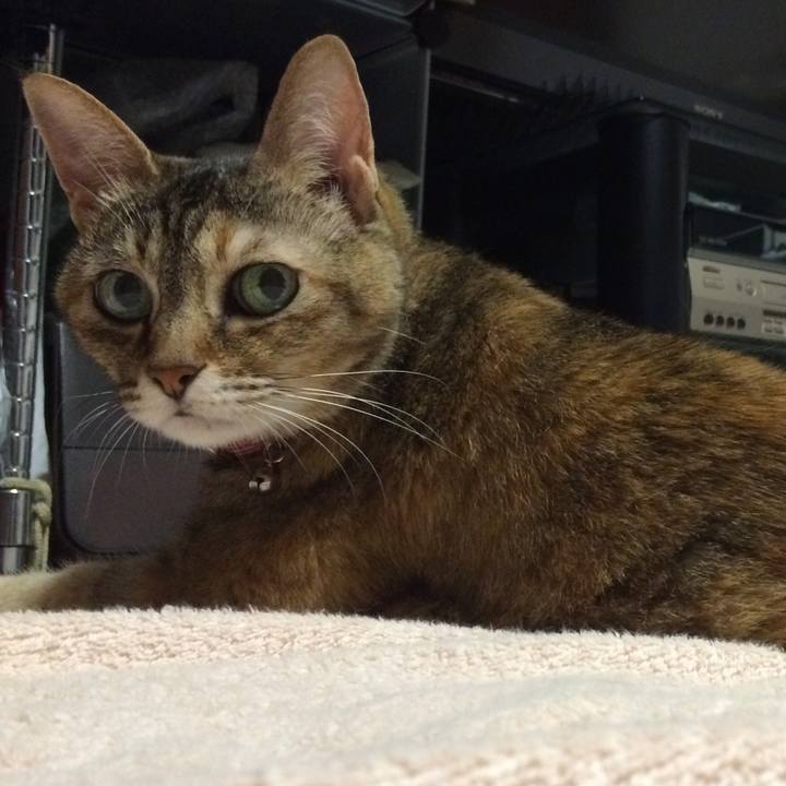 799c3c30 140d 49b3 8ef6 5231a431f2cb