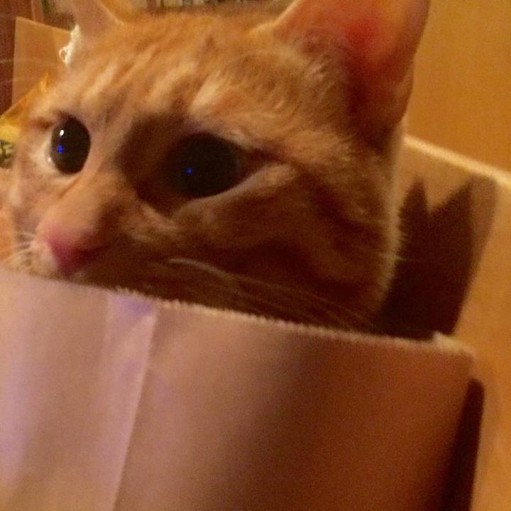 799c49da 49fc 49a9 abba fe43481b85bf