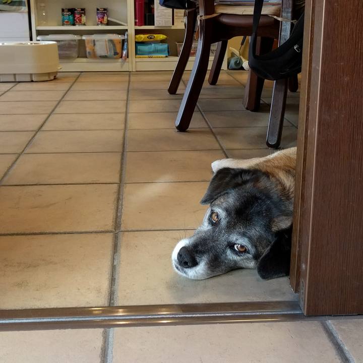 799d224c d736 4148 b6f7 ce92064a1e7f