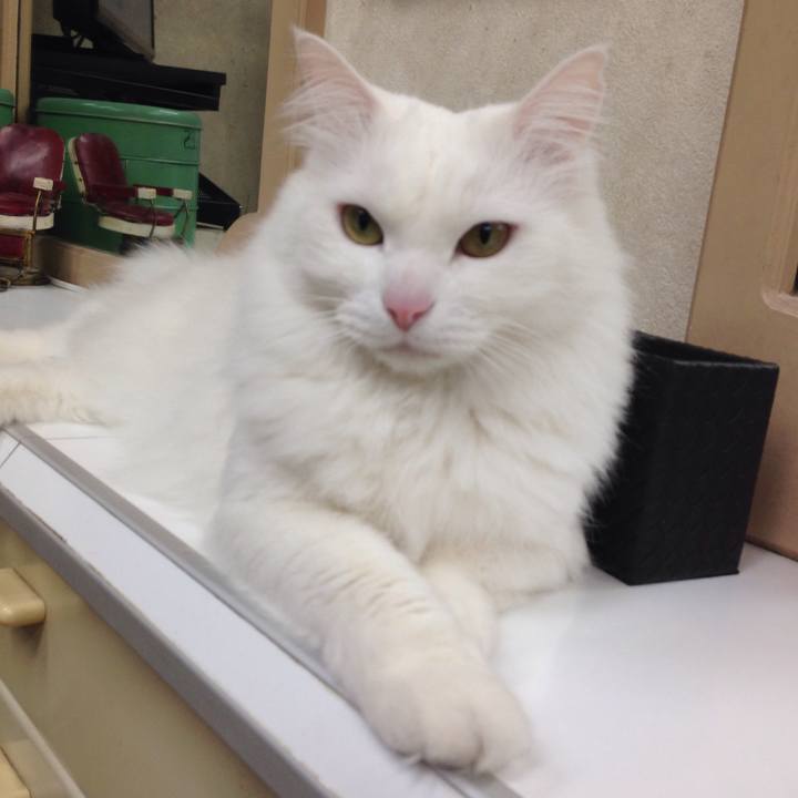 799d8ad8 927e 476d 8783 d0899699f32e