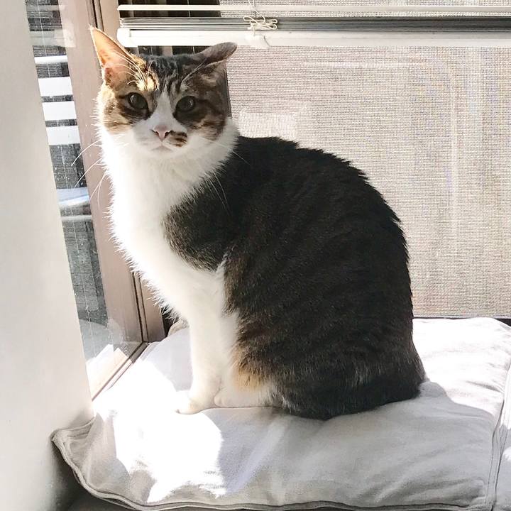 799eca73 31e2 47e0 bef9 1dc6531f9bdd