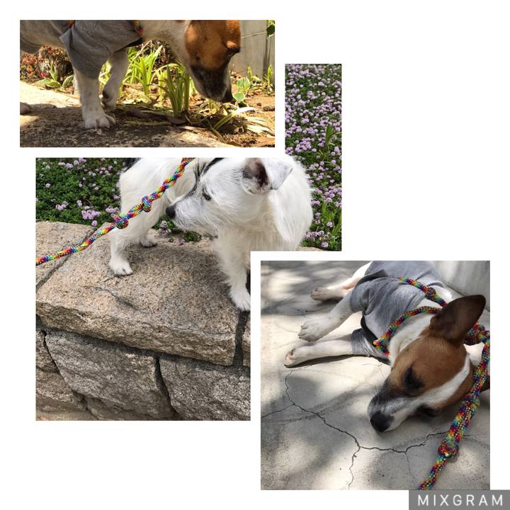 799edf34 377e 4e86 9738 1bf024859bde