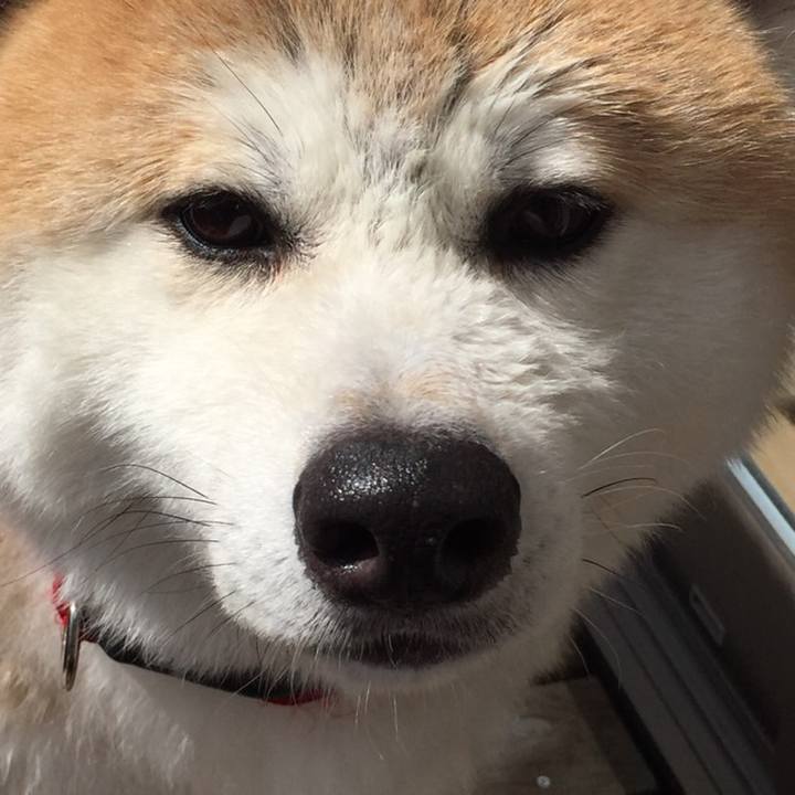 799fa60e 655c 4e85 bbf3 1ef5fe1b147c