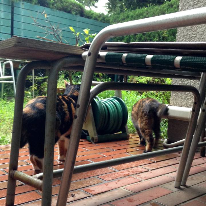 799fec26 be5f 4d54 8fd6 12755edc0ad0