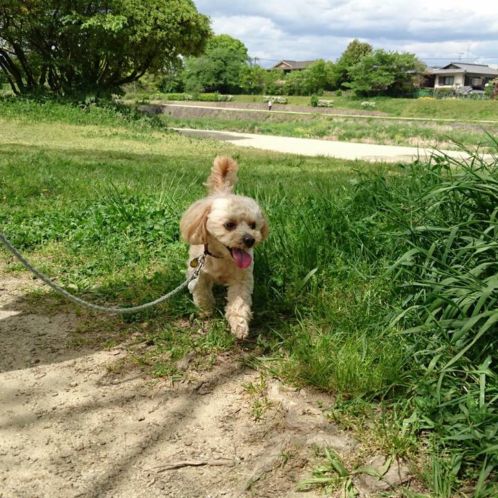 79a0b21e 550c 4521 b3a9 2cbdd7919f4d