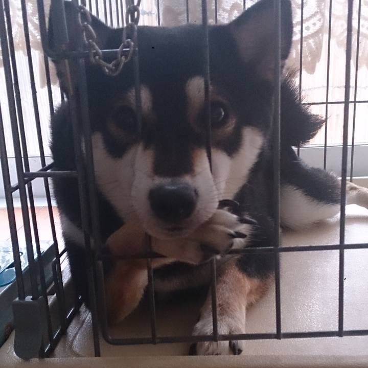 79a0b7b3 d440 4183 b268 a4bf58c59d61