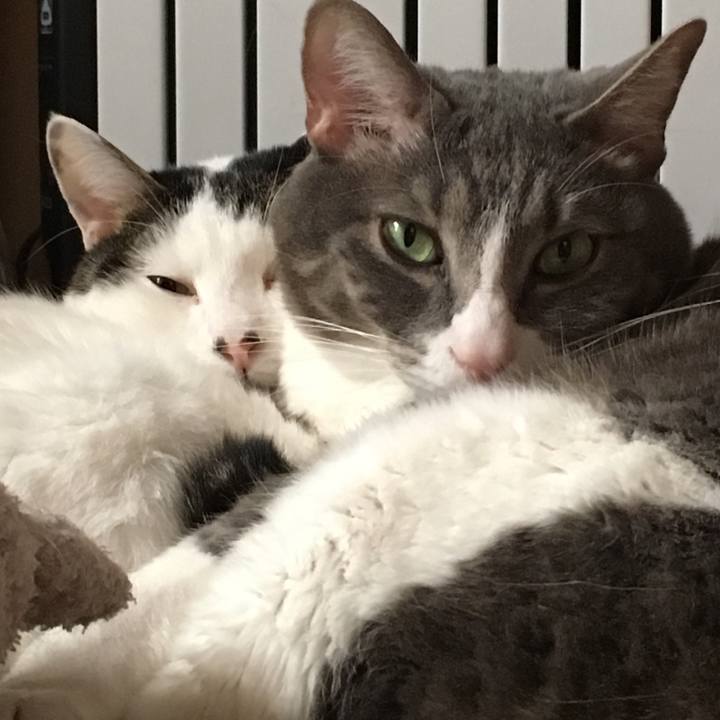 79a10722 7d2c 484a 9b06 21610195650d