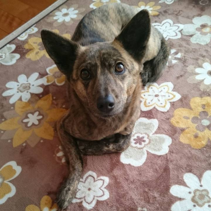 79a10e91 8f93 4adf bced d62a3d2326f7