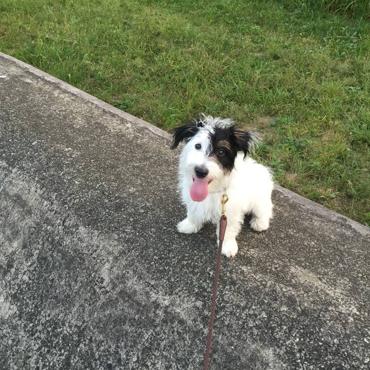 79a159ec 44e5 48fc a2f0 4b478294f4d5