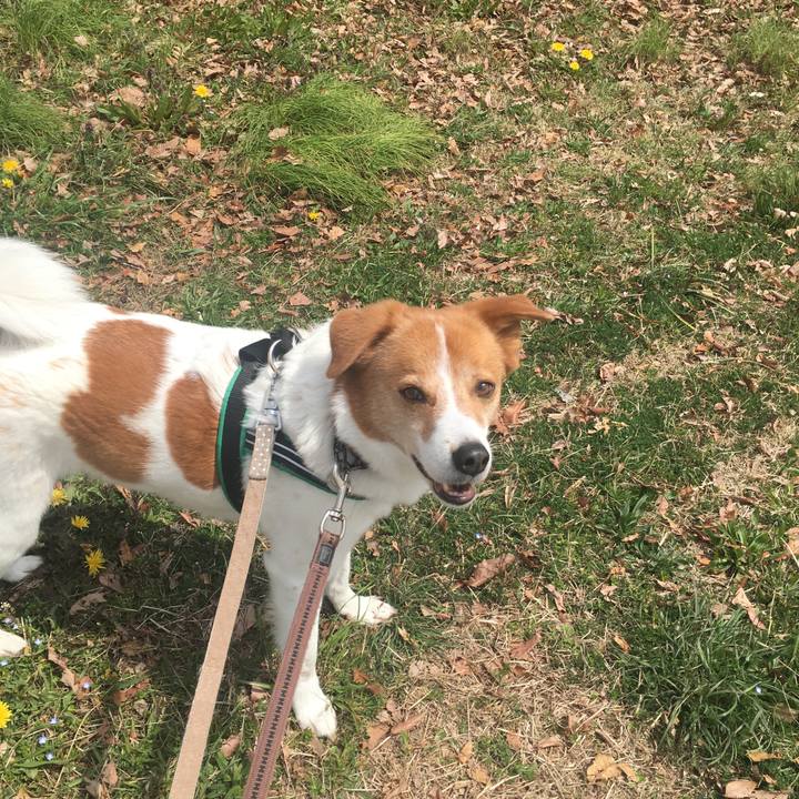 79a16df6 0067 49af a31e 8a4b70cc7eb9