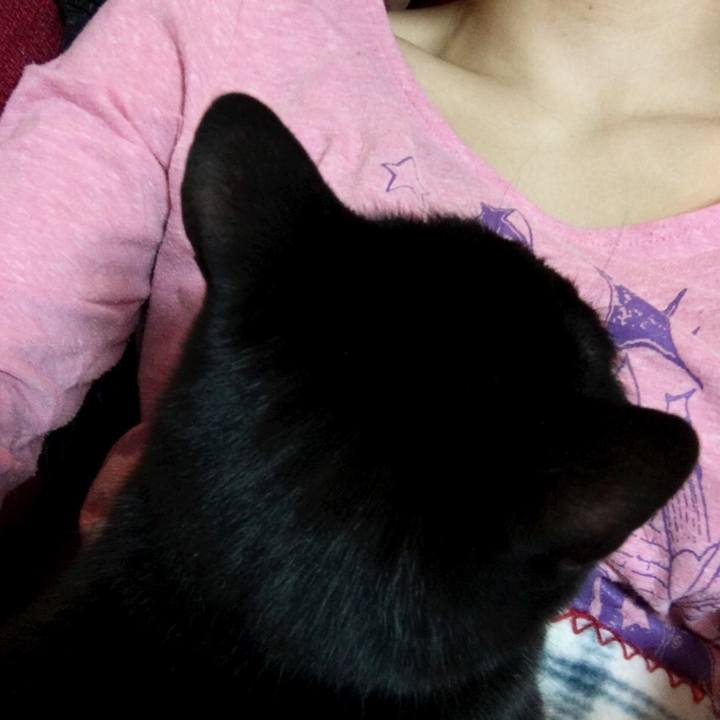 79a1a34e a532 402a 9786 f78df5515b5b