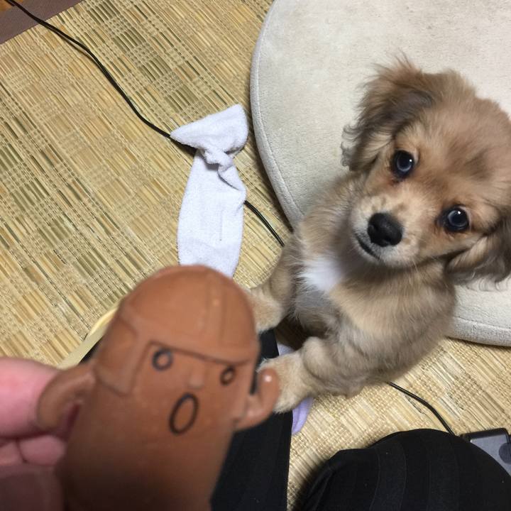 79a321ef 169d 4331 990a 90feb7f93efb