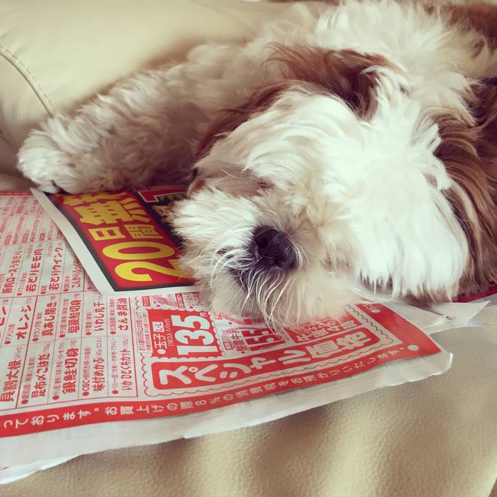 79a35807 1136 4a1e 81bb 5d0b031bd743