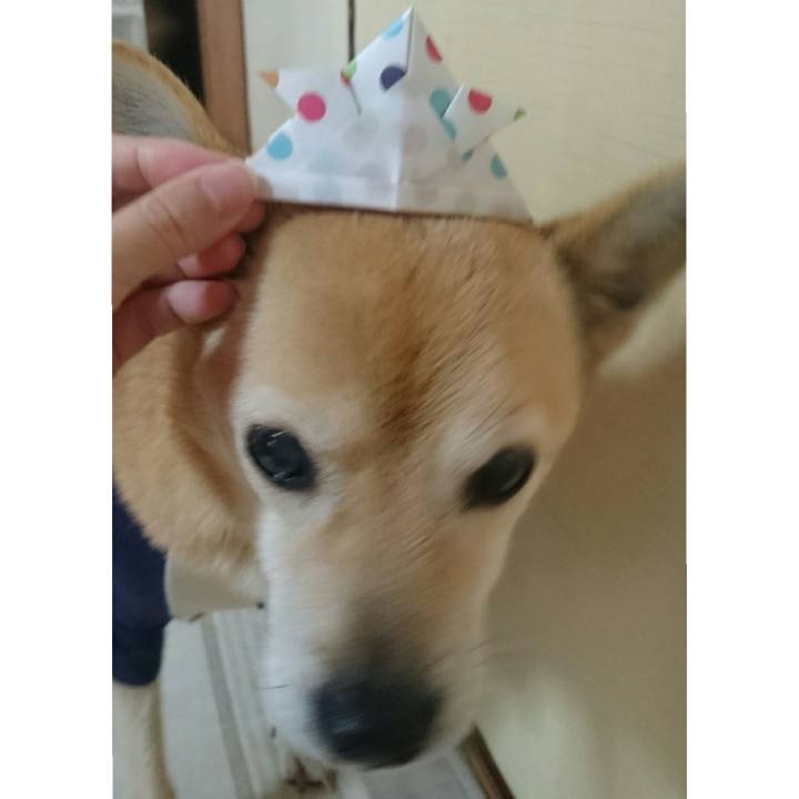 79a373de c328 4ced 9a92 9ab1d99bf5ce