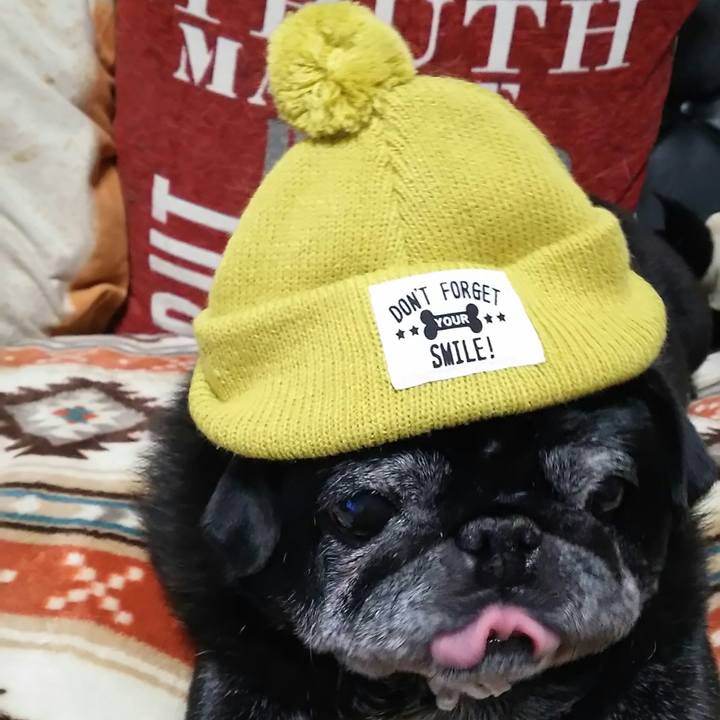 79a4384c 1378 4815 a680 5bc8c547f943