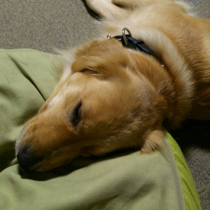 79a43f7e 2621 486a 9977 8d1578f00b90