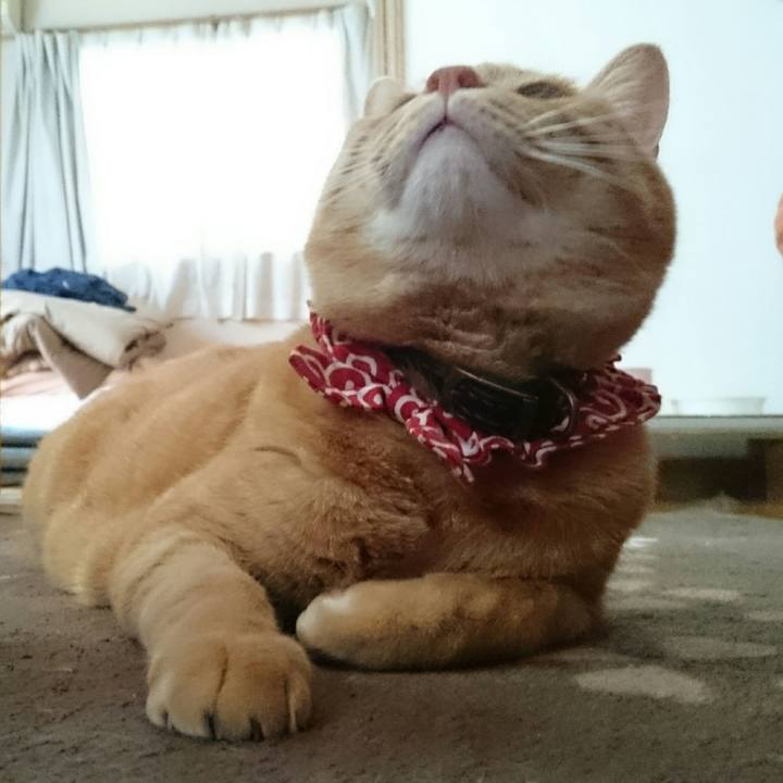 79a486e5 3a4a 4d8f a9ca f9643caf1899