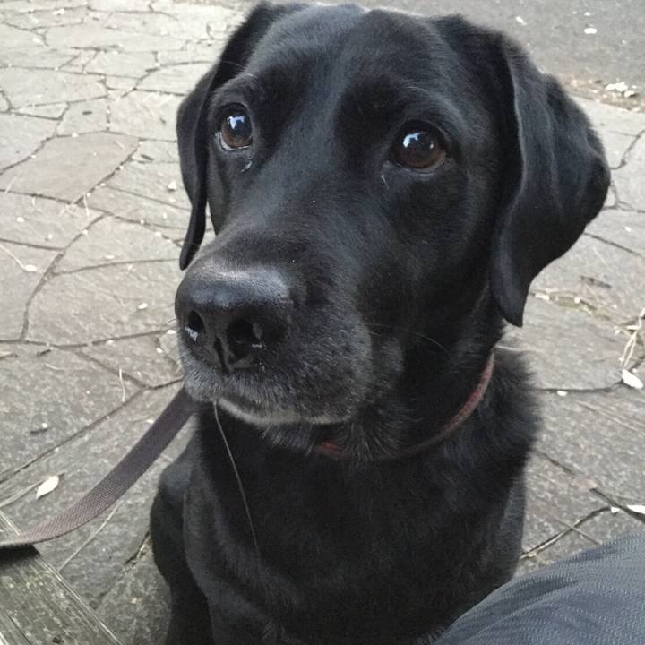 79a4be7e 6504 4d10 9378 4389a1d890b6