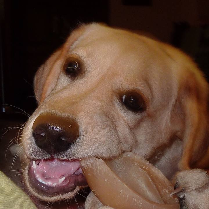 79a4c7c7 06ff 45f5 9539 4fc6882b3acd