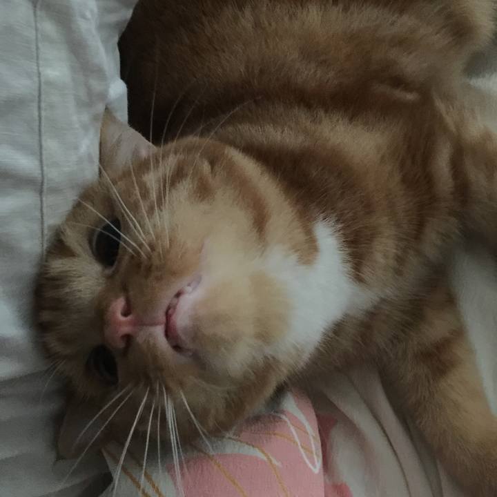 79a501b5 92a9 430c bf84 464473076abe