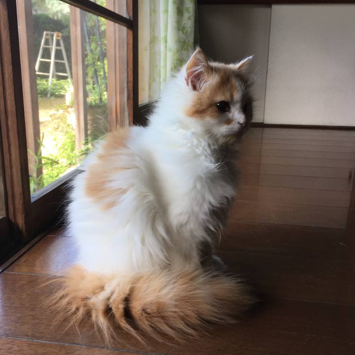 79a5249e 439d 4435 9253 f3ab37db6bd7