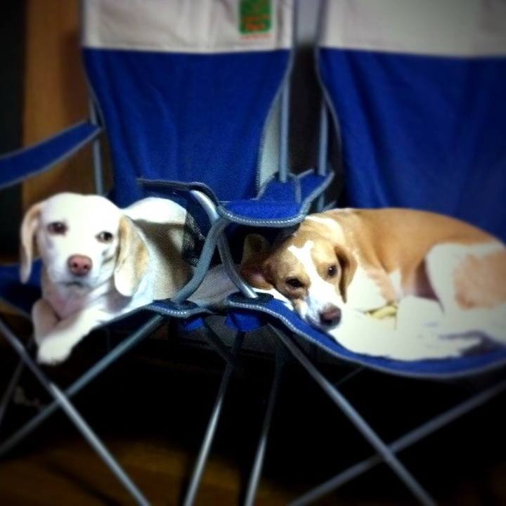 79a576d4 f261 4f48 900a ef05e9fa5c34